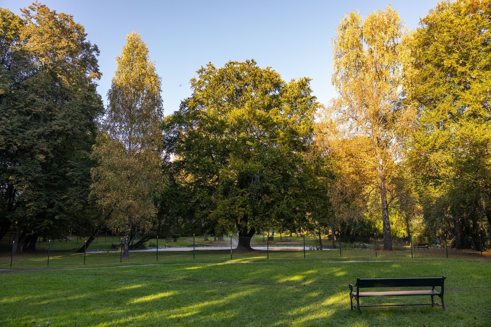 Umiddelbar nærhet til Skøyenparken som er en forlengelse av Frognerparken Galleribilde