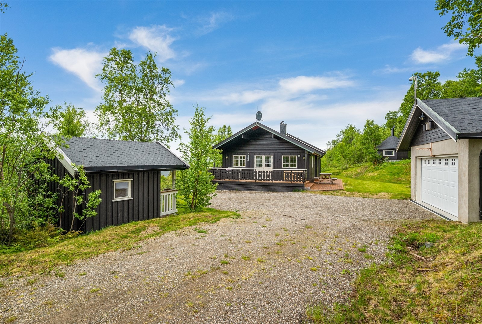 Sommerbilde. Galleribilde