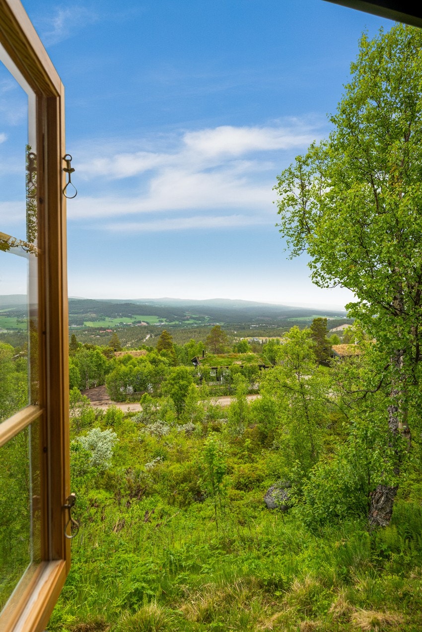 Sommerbilde. Galleribilde