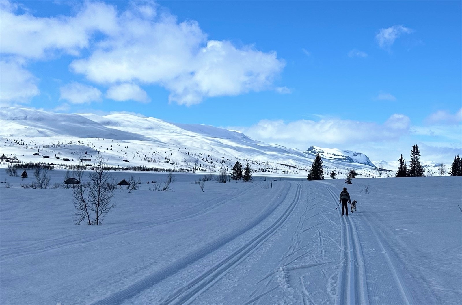 Området byr på milevis av velpreparerte skiløyper (selgers eget foto). Galleribilde