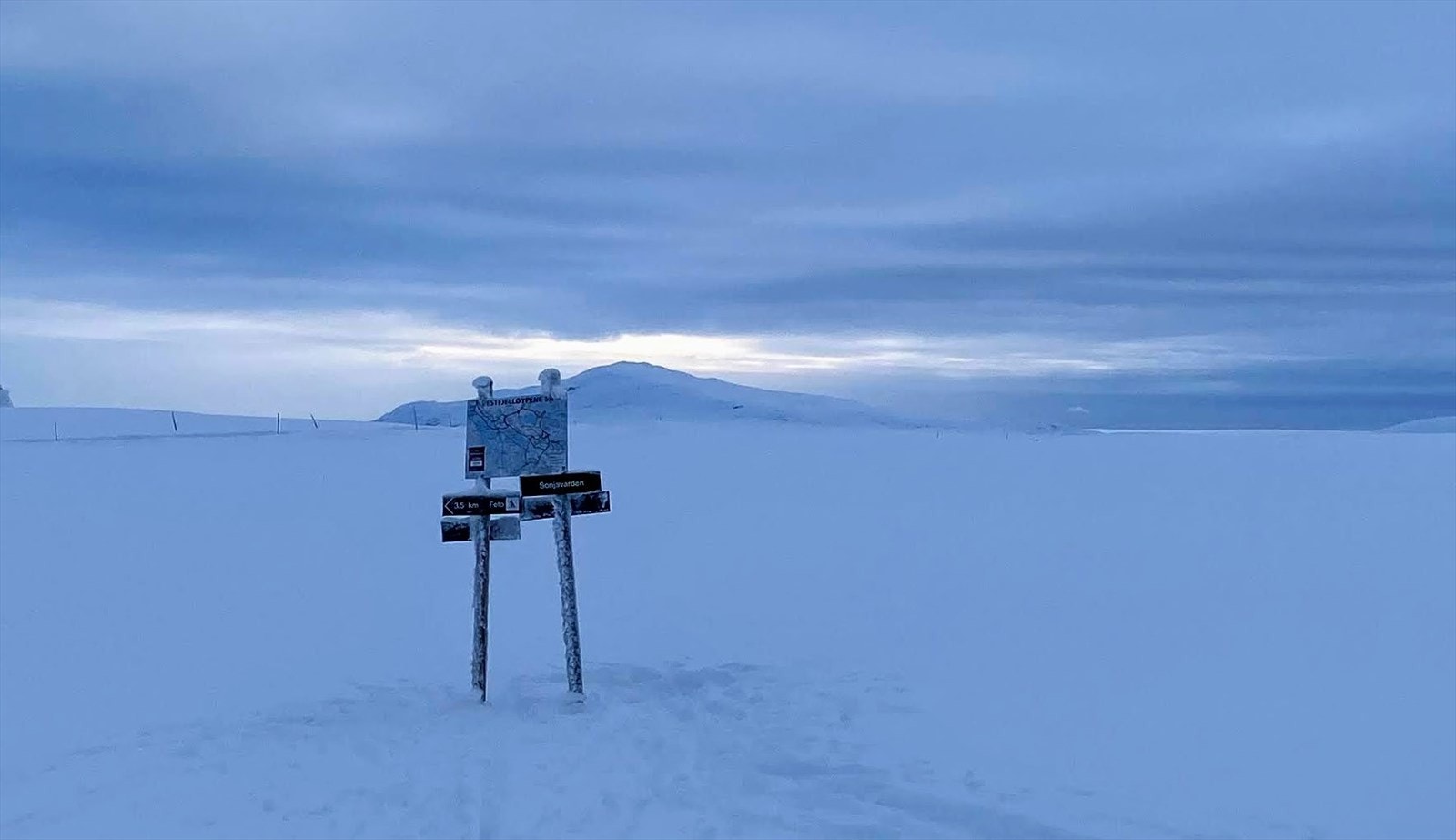 Selgers eget foto. Galleribilde