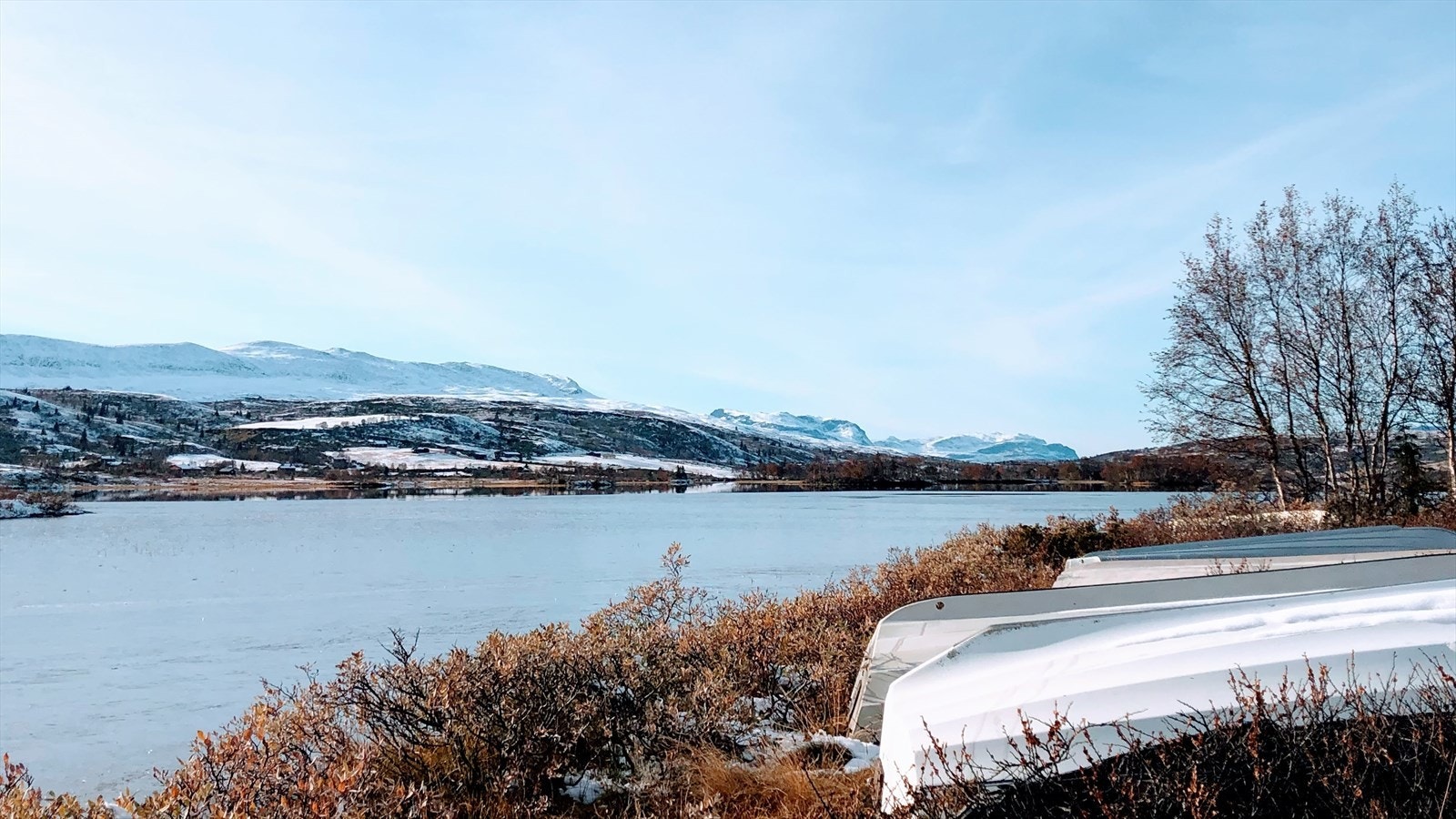 Selgers eget foto Galleribilde