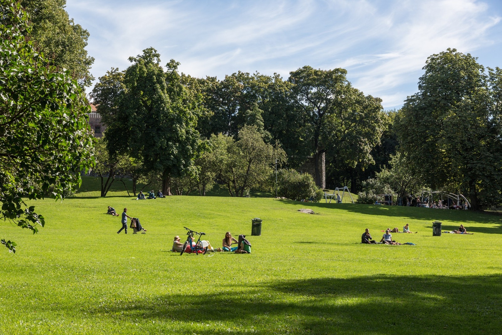 Nærområdet. Galleribilde