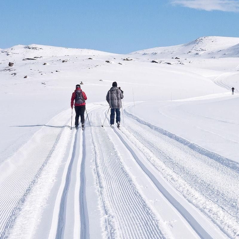 Området er et eldorado for de som liker langrenn Galleribilde