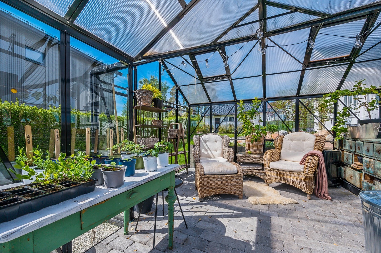 Drivhus Galleribilde