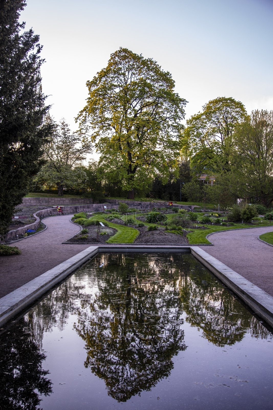 Botanisk hage. Galleribilde
