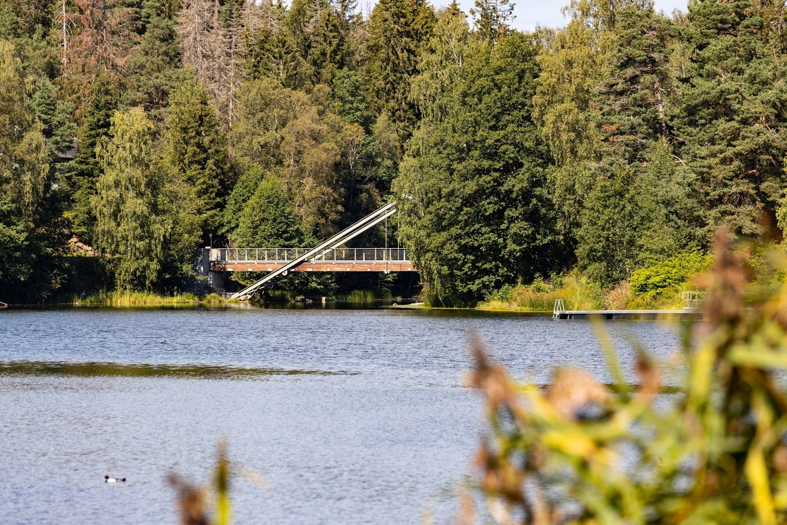 I nærområdet ligger Langvannet med flotte turløyper og opparbeidede badeplasser i begge ender av vannet. Galleribilde