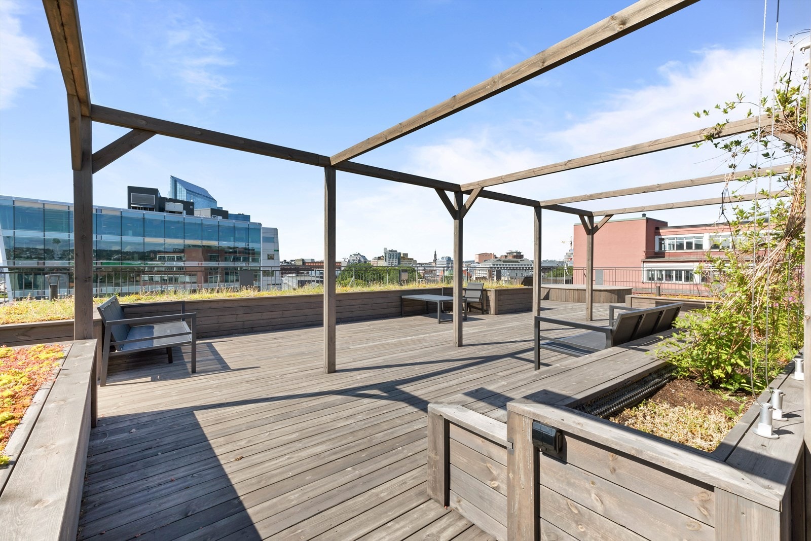 Felles takterrasse. Galleribilde