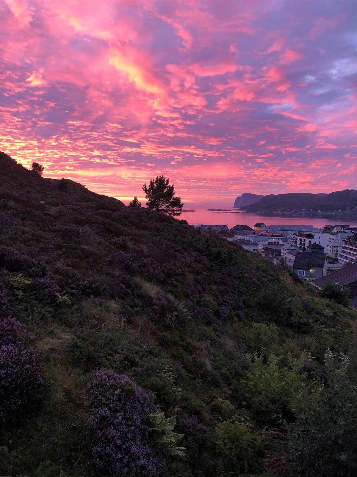 Utsiktsbilde | Foto: Selger Galleribilde