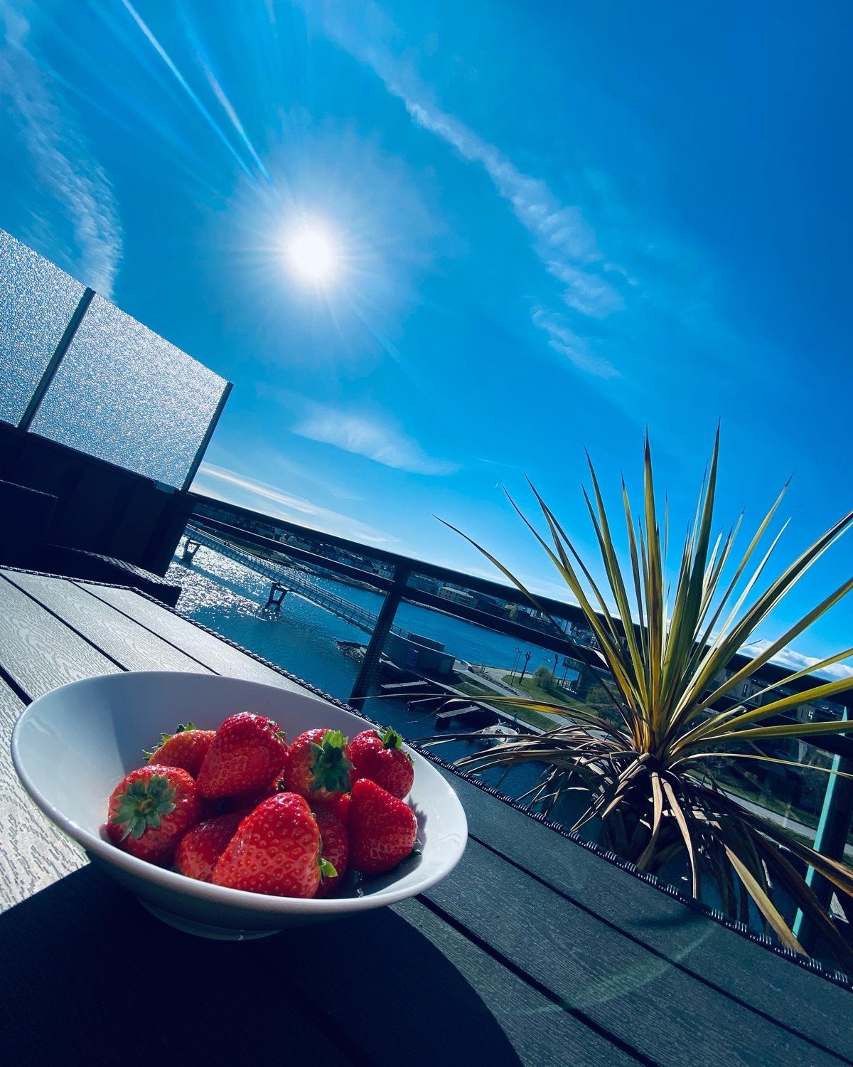 Utsikt fra terrassen sommerstid Galleribilde