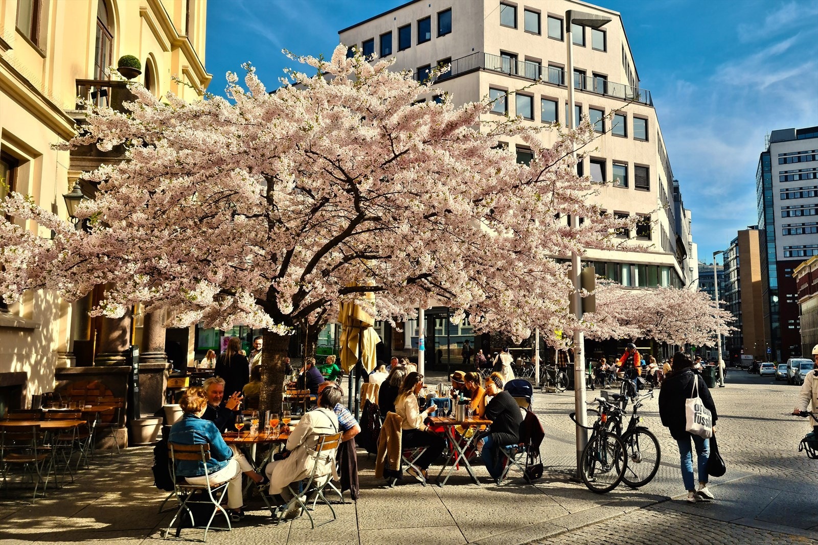 På St.Olavs plass finner du flere populære restauranter med uteservering, bakerier, postkontor m.m Galleribilde