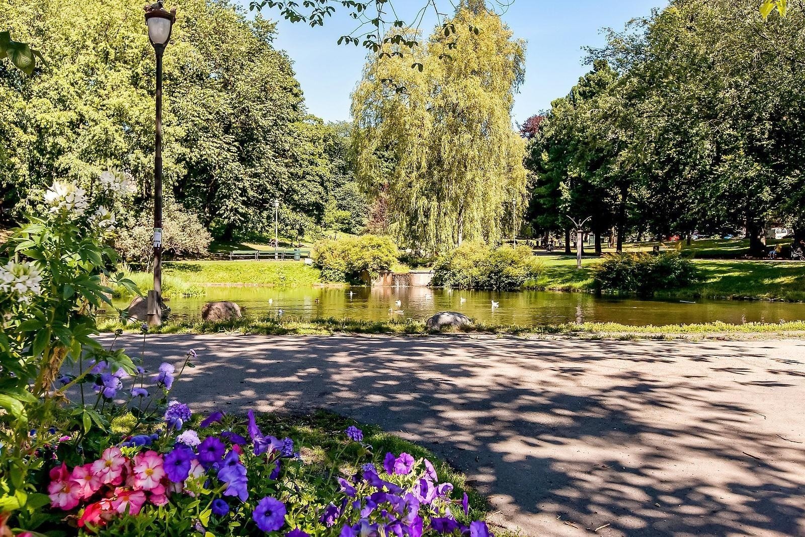 Det er kun et par minutters gange til både St.hanshaugen park og vår frelses gravlund. Galleribilde