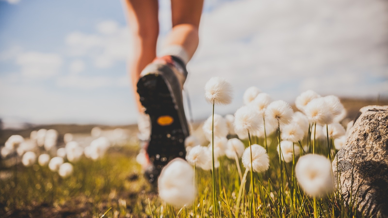Geilo er kjent for sin vakre natur, og på sommeren og høsten ligger den klar for flotte fotturer. Fantastisk utsikt omkranser deg nesten uansett hvor du går Galleribilde