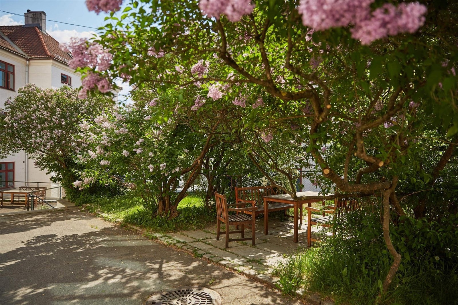 Borettslaget har en svært idyllisk og solrik bakgård, perfekt for avslapning og sosialt samvær. Her finner du sitteplasser, urtekasser, lekeplass, pizzaovn, bålpanner og grill. Galleribilde