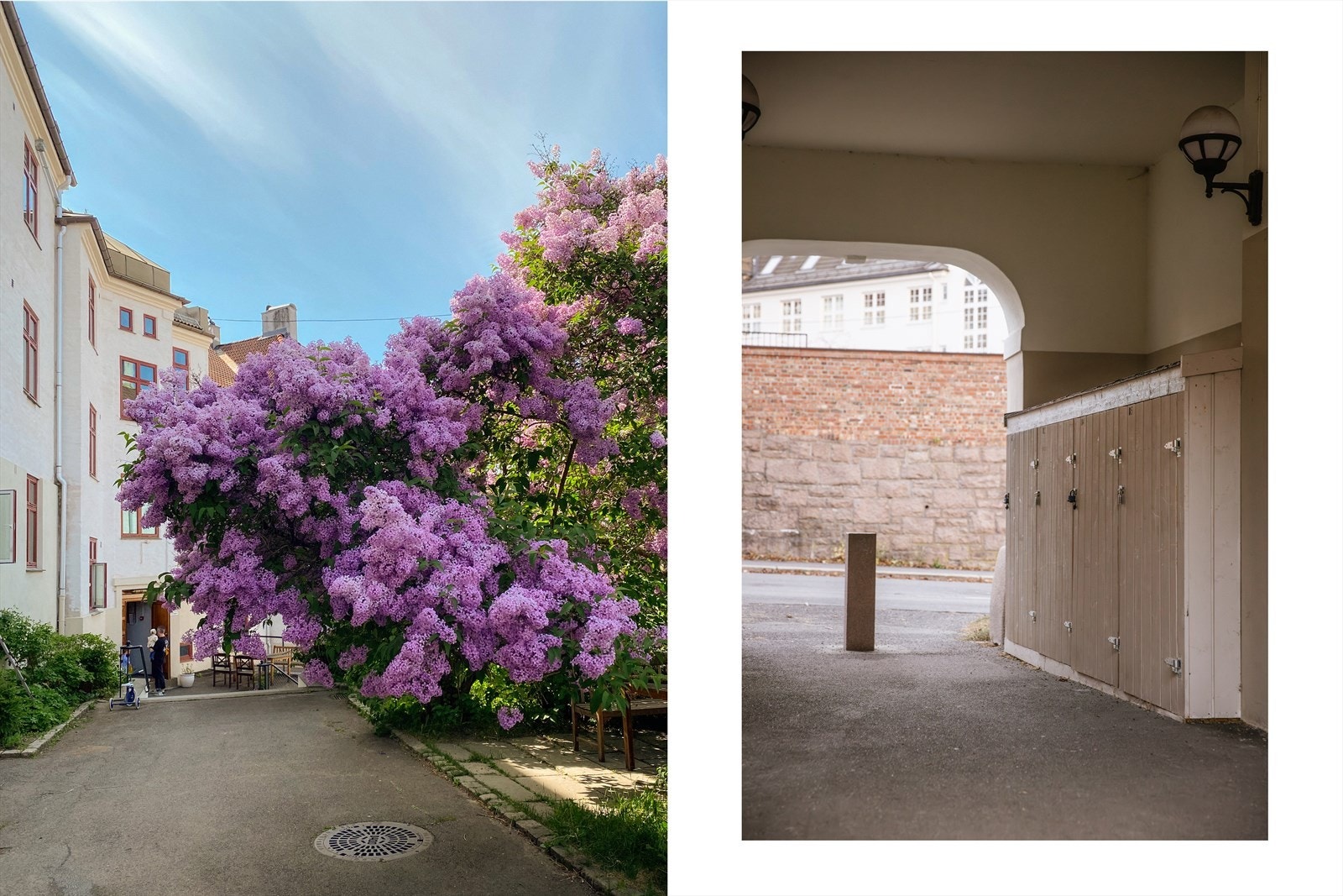 Rett utenfor inngangsdøra til Dynekilgata 4 er det en stor og vakker syrin, som omkranser en lun og fin sittegruppe. I portrommet like ved, er det praktiske vognskur for beboere som trenger det. Galleribilde