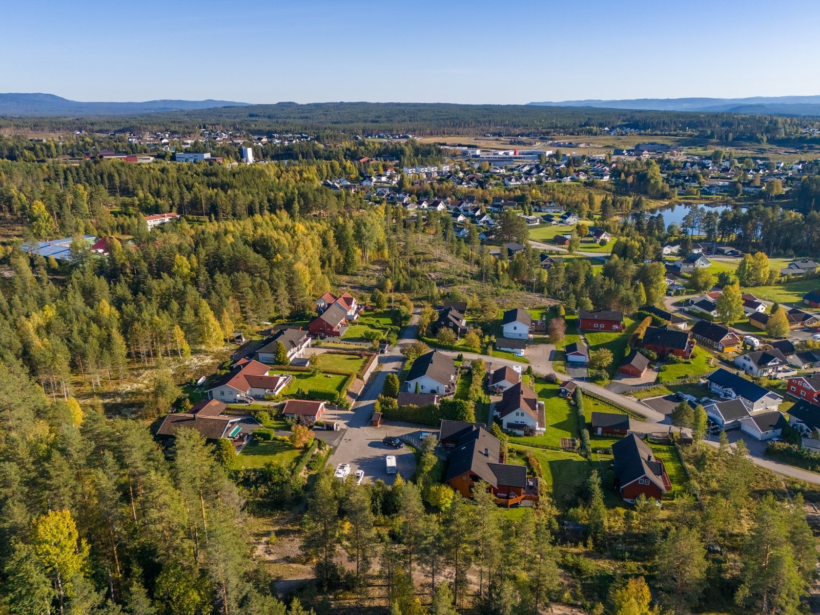 Oversiktsbilde. Galleribilde