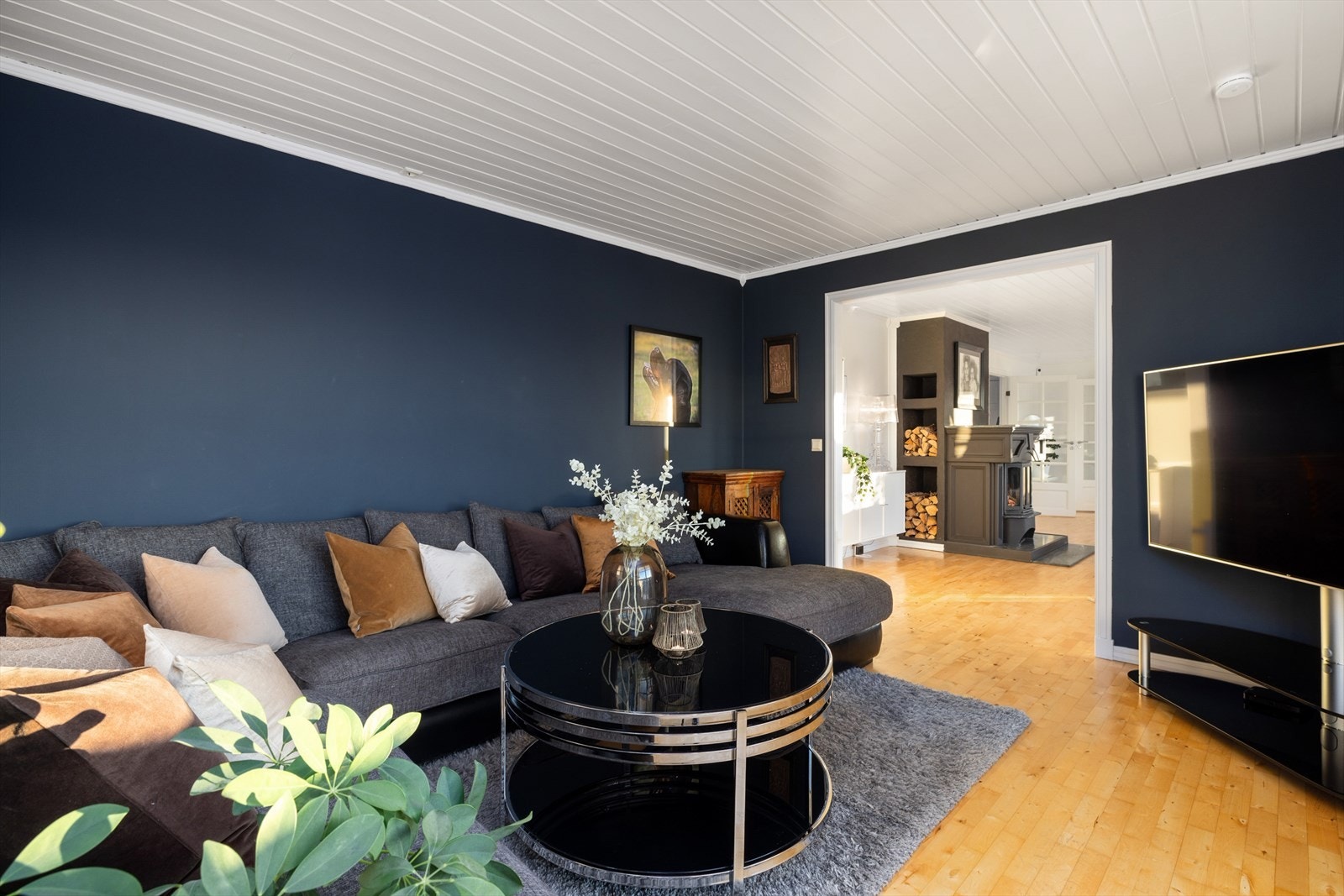 Tv stue. Galleribilde