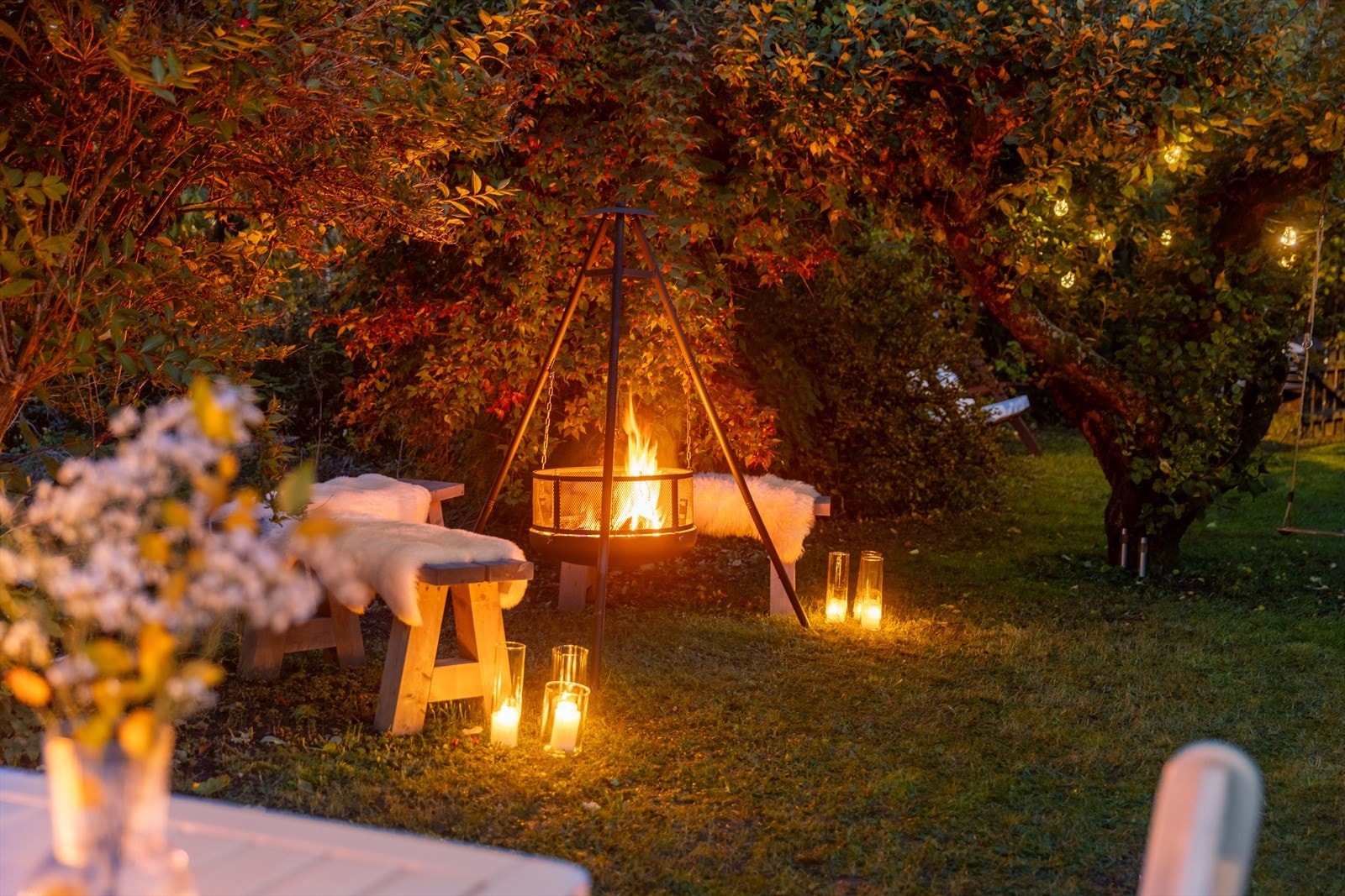 Kveldsstemning. Galleribilde