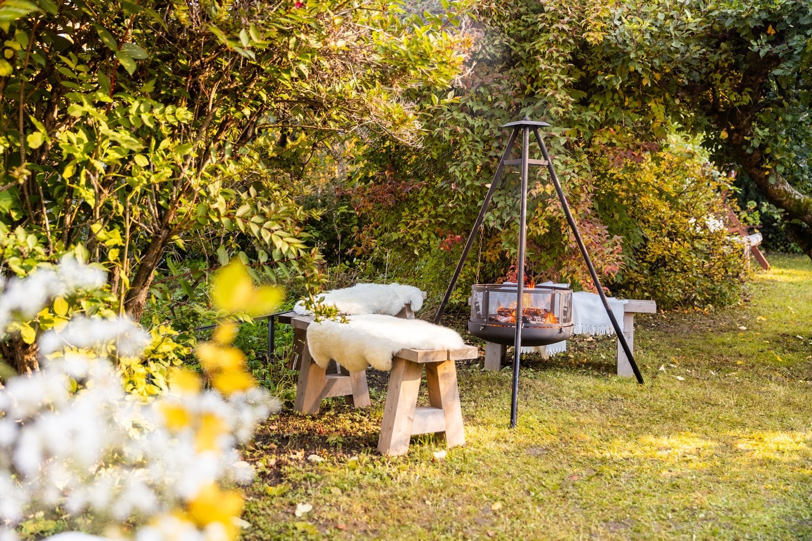 Detaljer | Hageidyll. Galleribilde