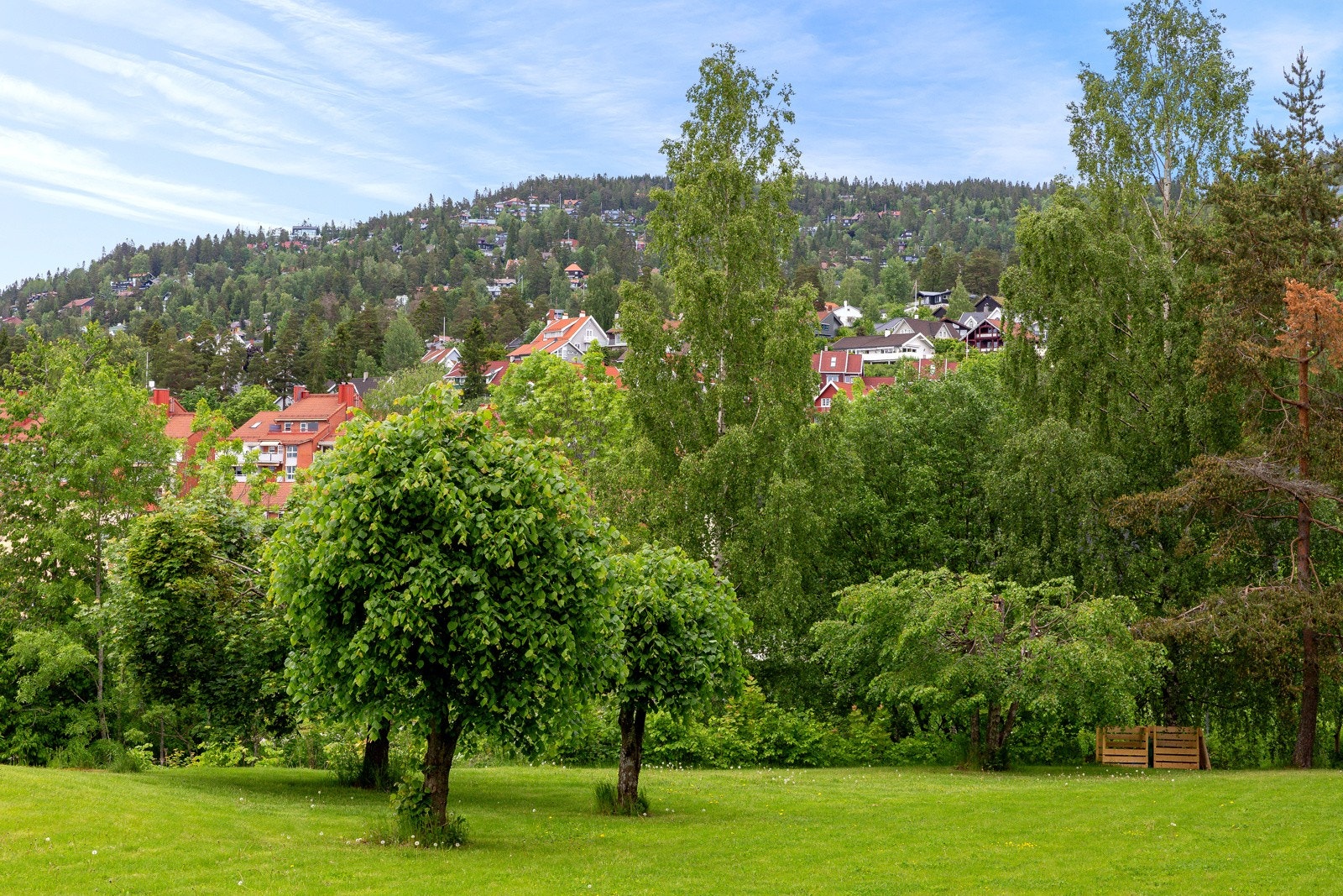 Nærområdet er svært rolig og fantastisk for barnefamilier. Galleribilde