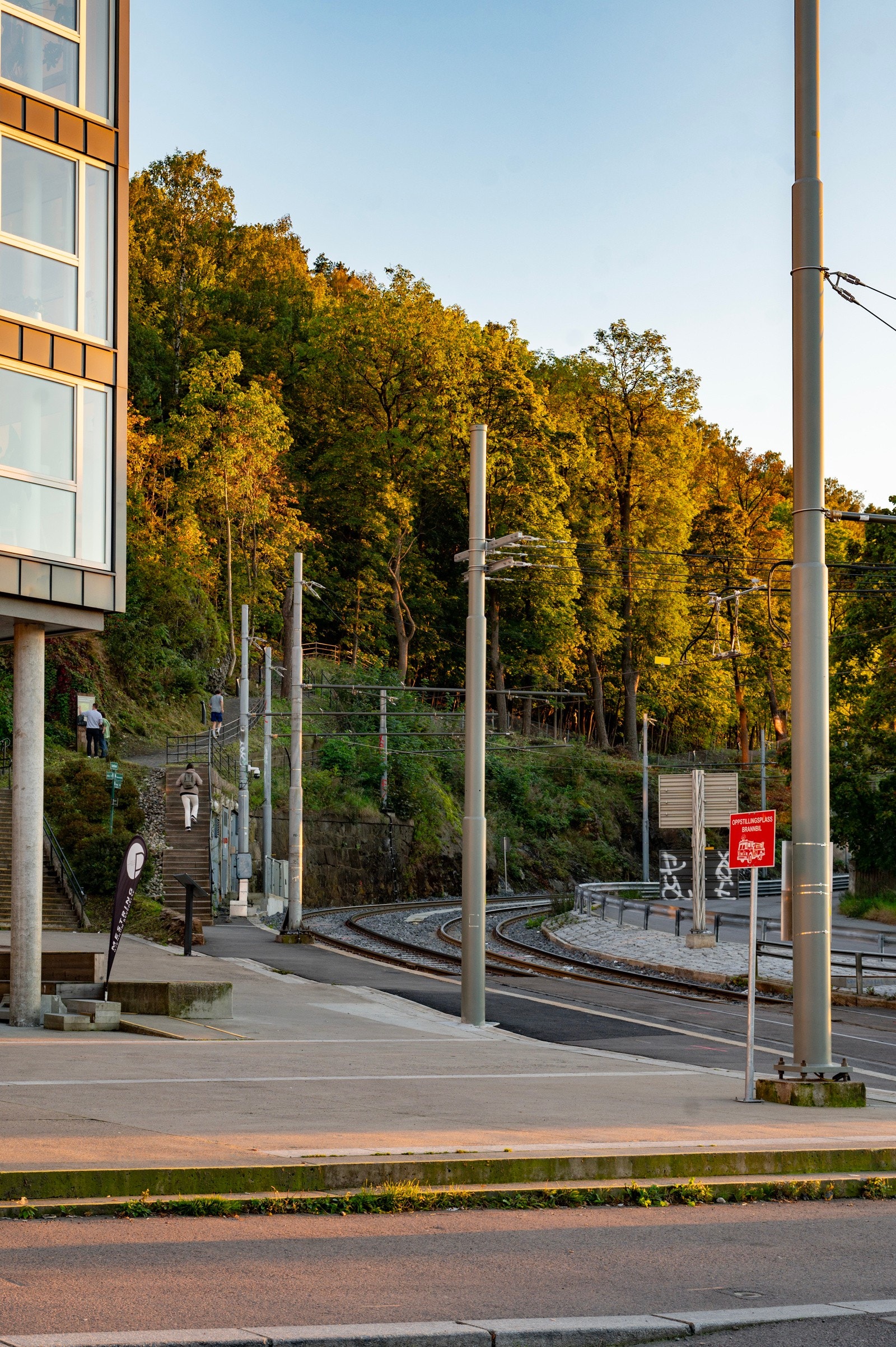 Nærområdet. Galleribilde