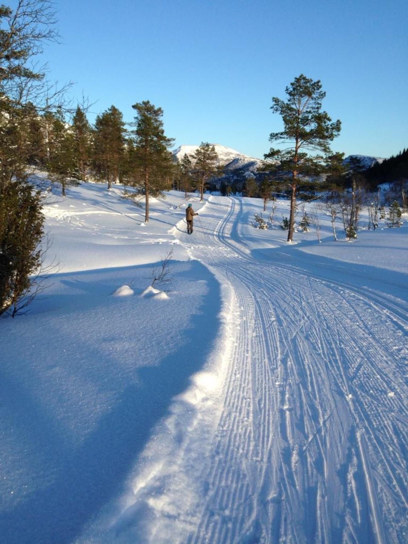 Osmarka er et eldorado også vinterstid! Foto privat Galleribilde