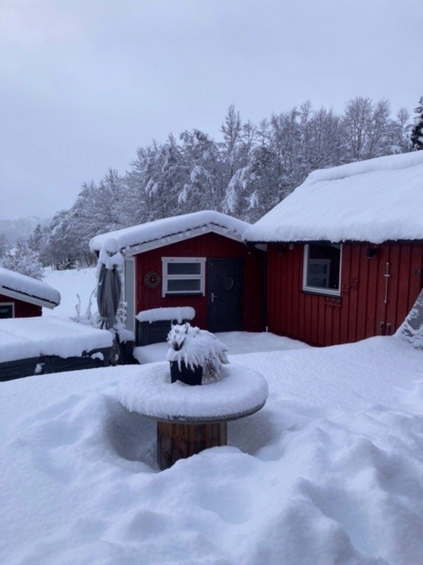Vinterstemning - foto privat Galleribilde