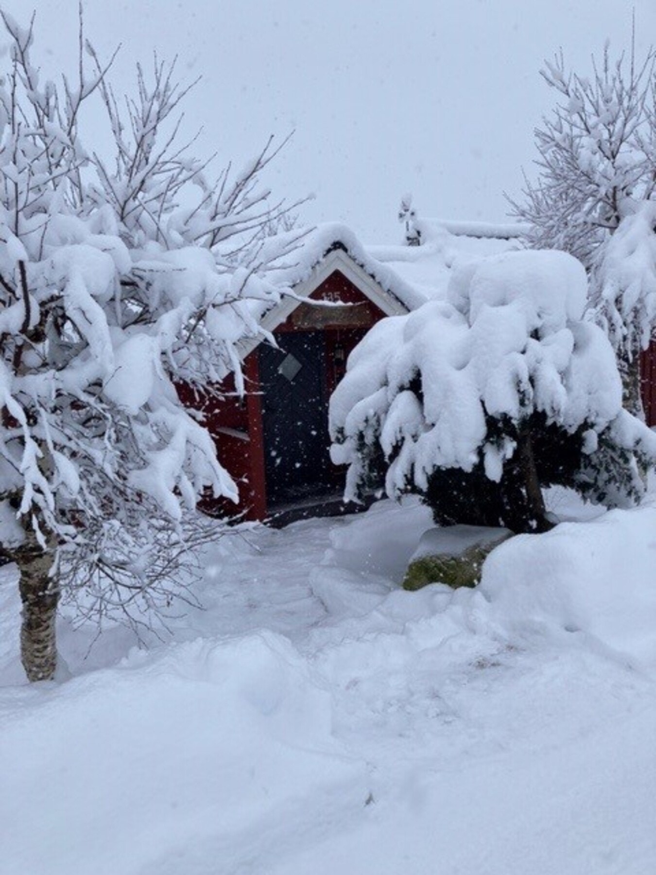 Vinterstemning - foto privat Galleribilde