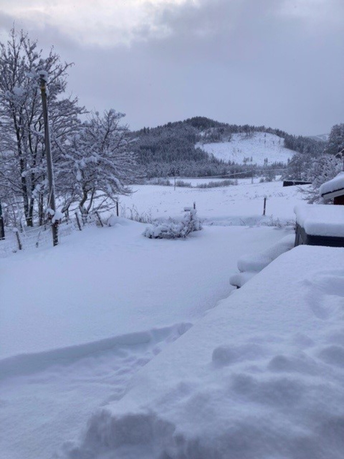 Vinterstemning - foto privat Galleribilde