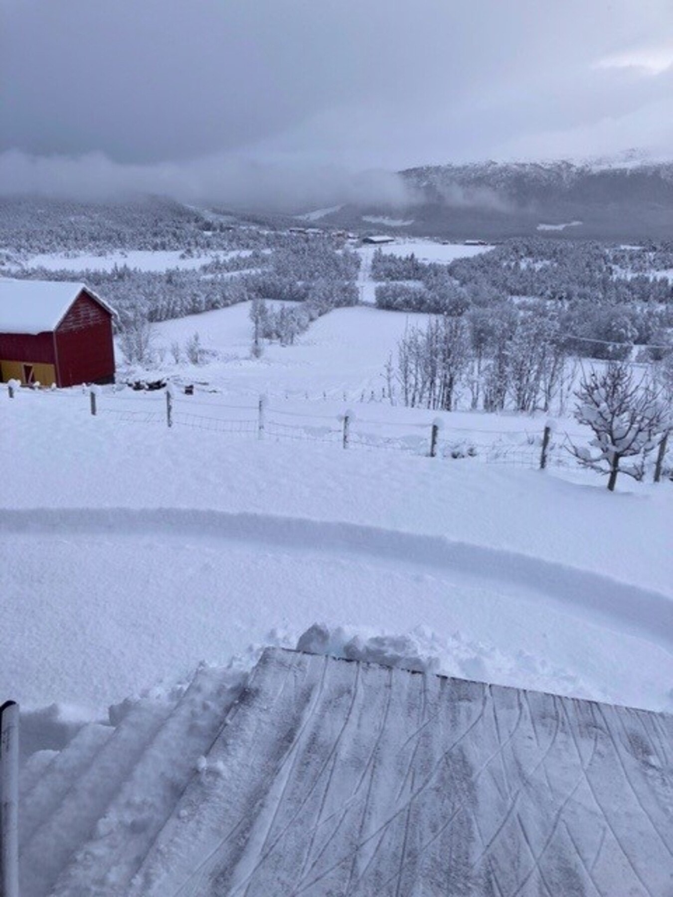 Vinterstemning - foto privat Galleribilde