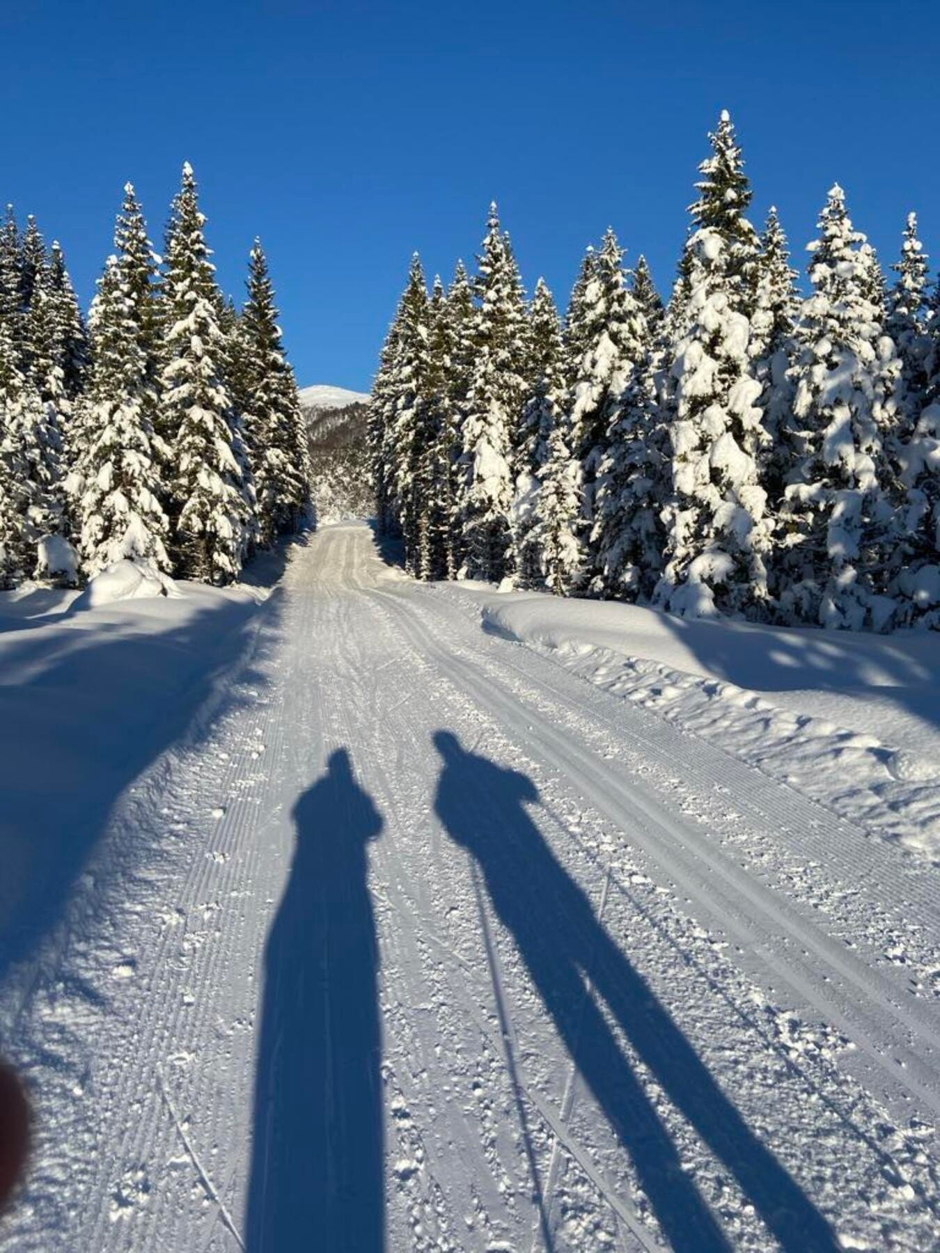 Osmarka er et eldorado også vinterstid! Foto privat Galleribilde