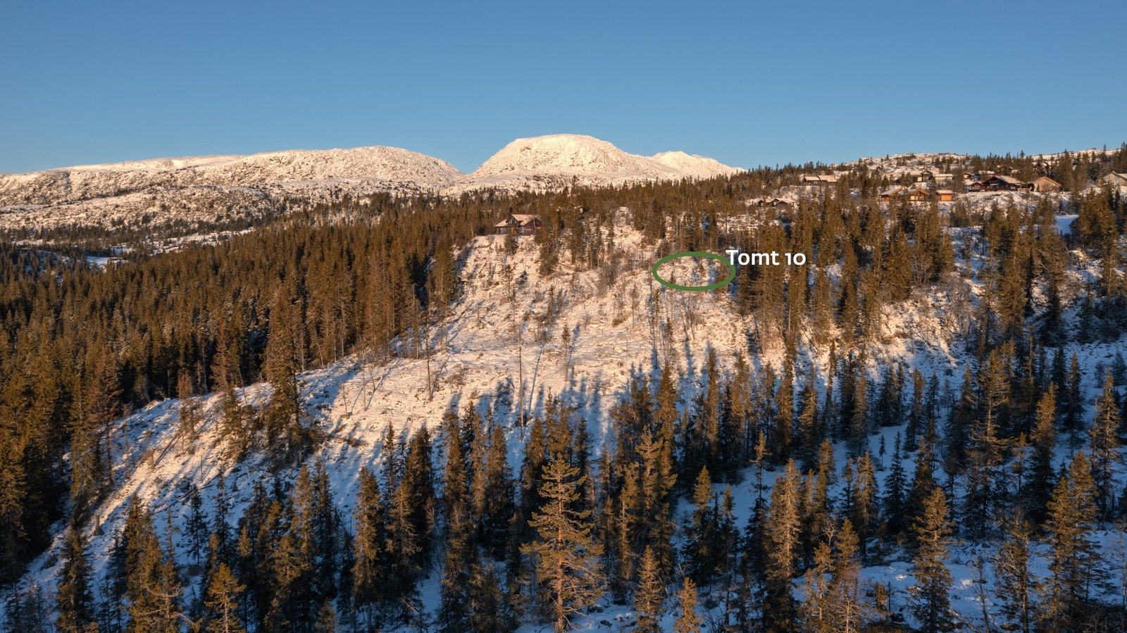 Tomt 10 Galleribilde