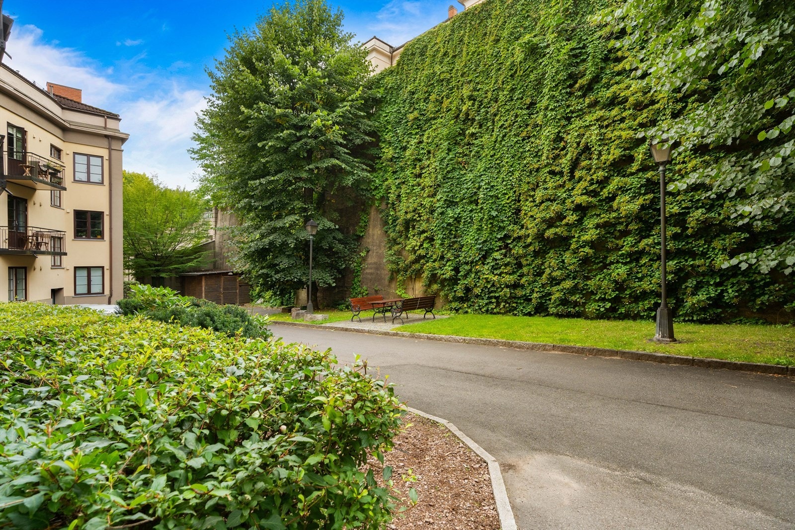 Her får du en grønn oase som bakgård Galleribilde