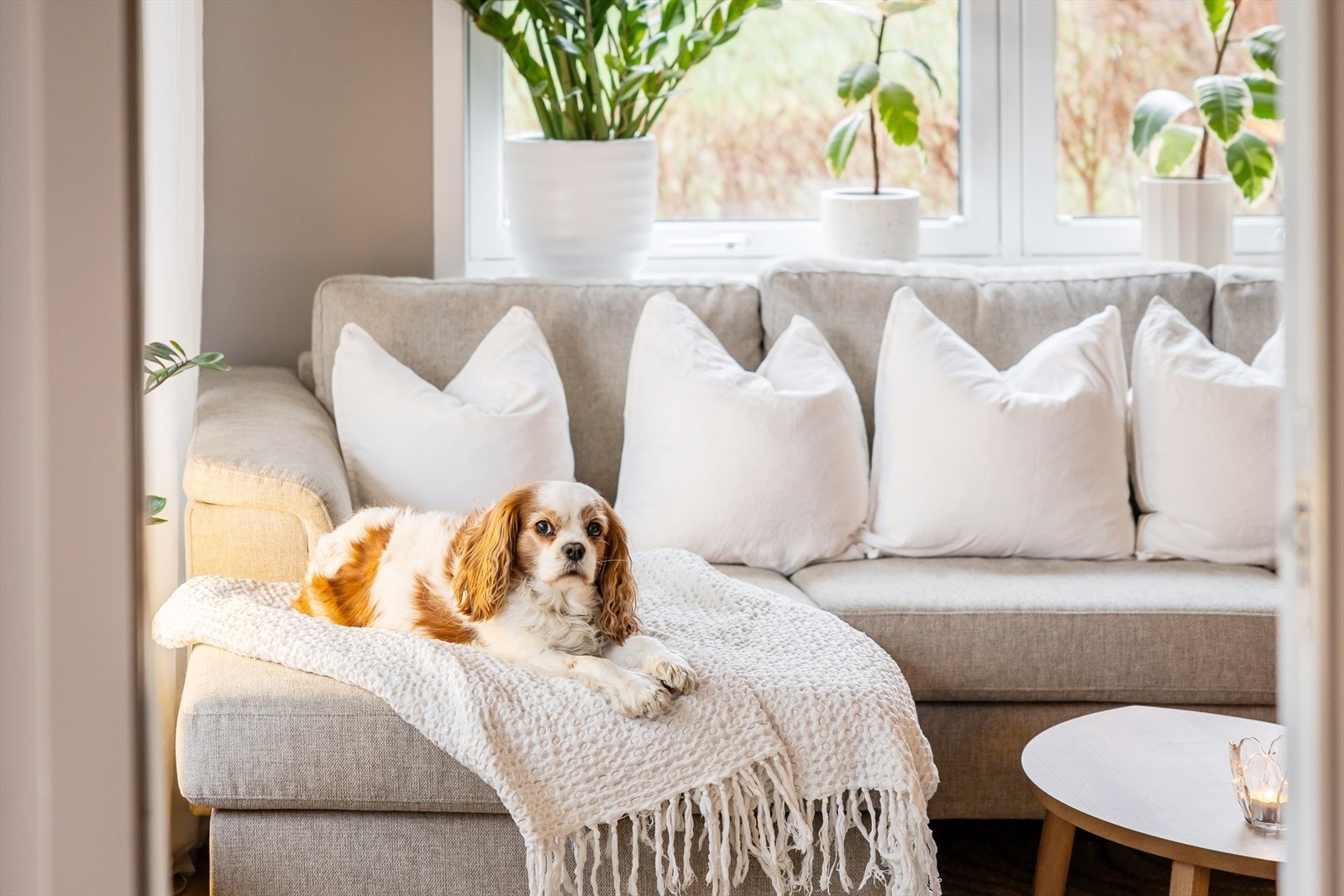 Med god plass til både sofa, spisebord og ekstra møbler, er stuen ideell for hyggelige sammenkomster med familie og venner. Galleribilde