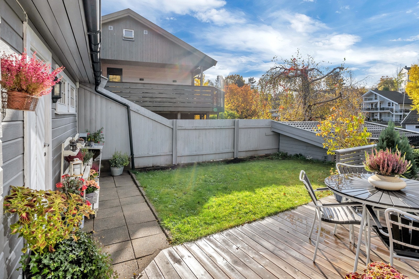 Usjenerte hager Galleribilde