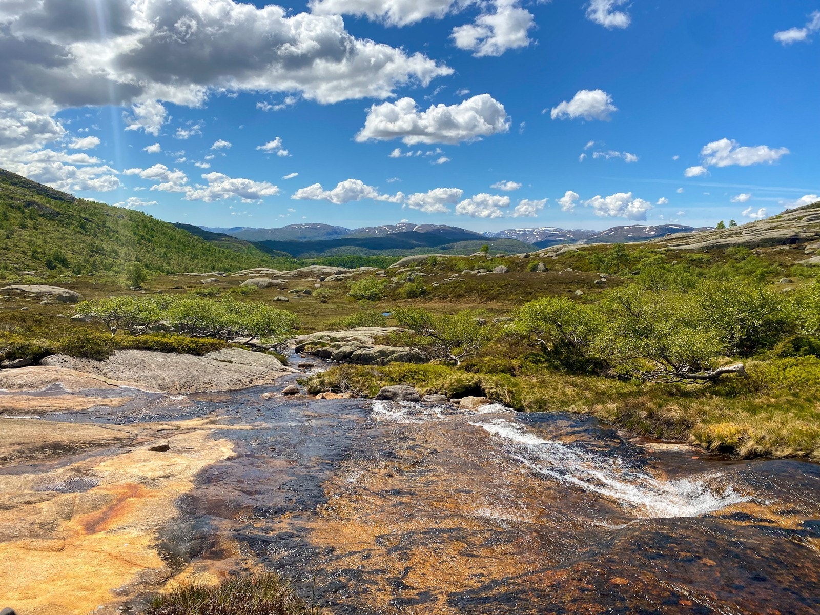 Område, Jogledalen om våren Galleribilde