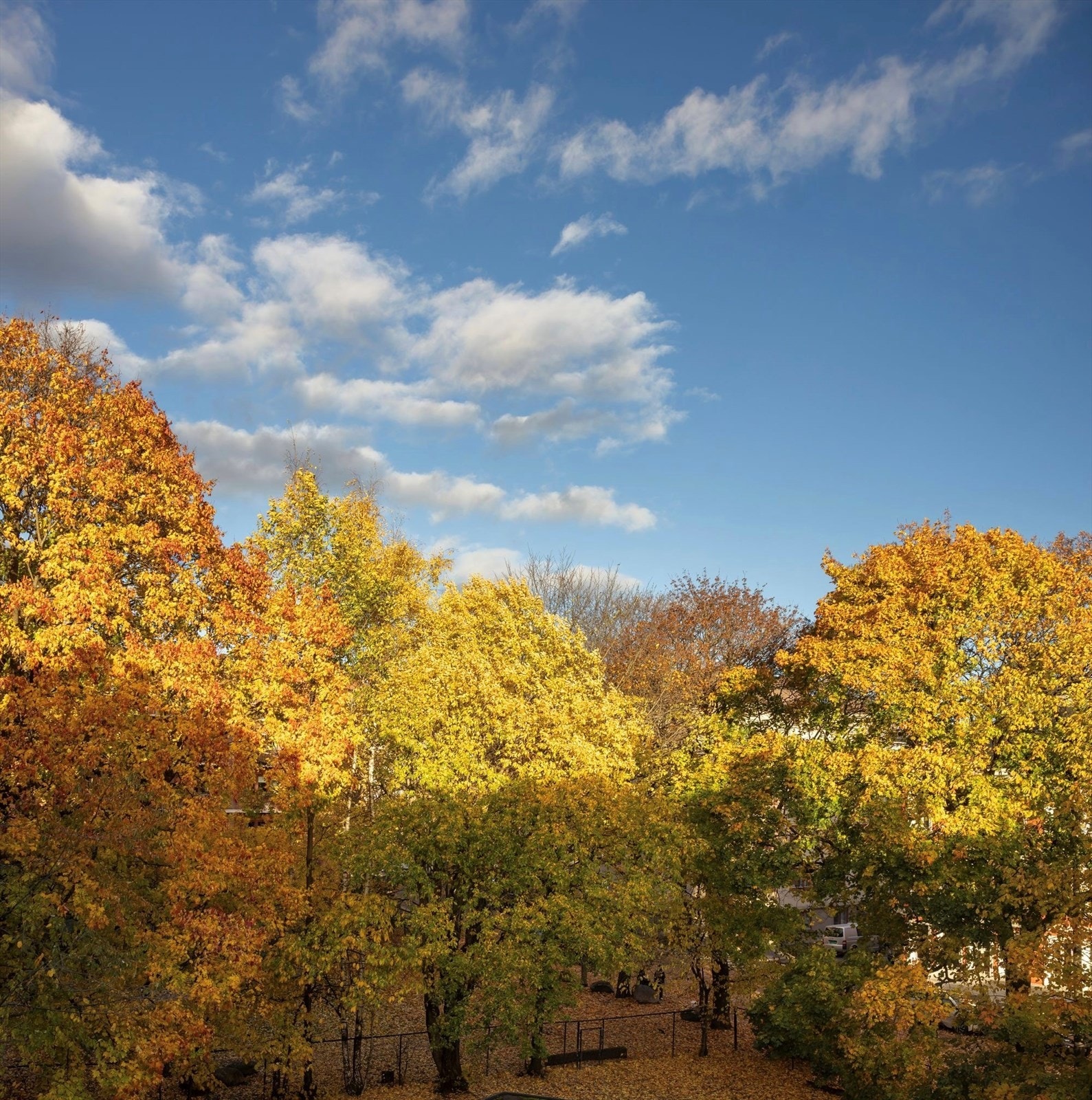 Bygården vender ut mot store og grønne parkområder Galleribilde