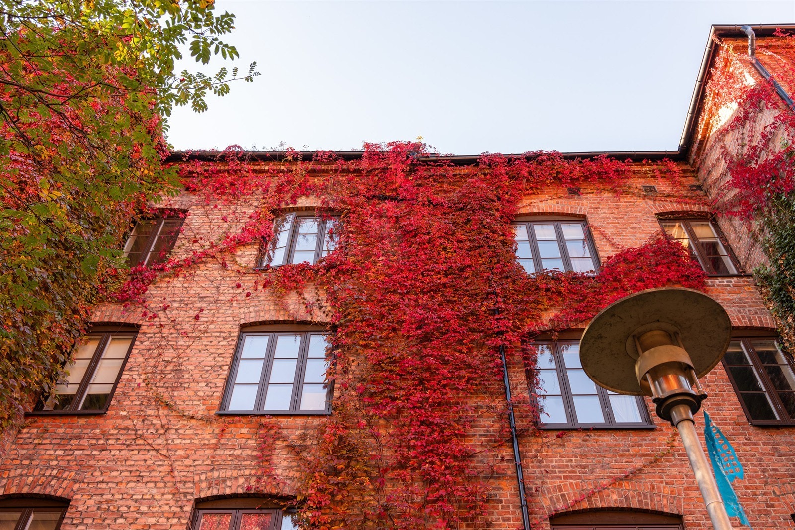 Gråbeinkvartalet er et populært kvartal på Løkka. Galleribilde