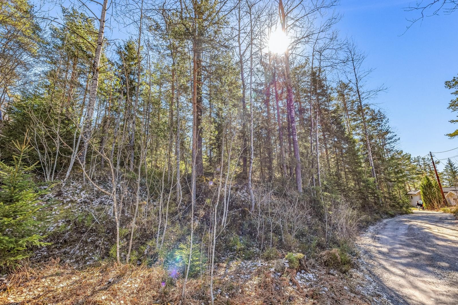 Nærområdet består i hovedsak av eneboliger og fritidsboliger. Galleribilde
