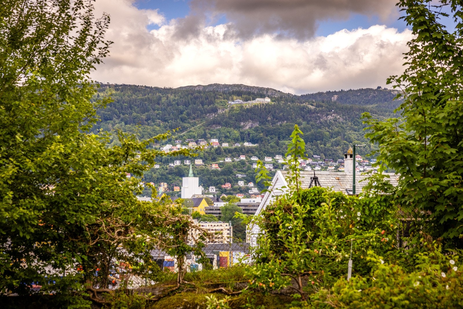 Fin utsikt Galleribilde