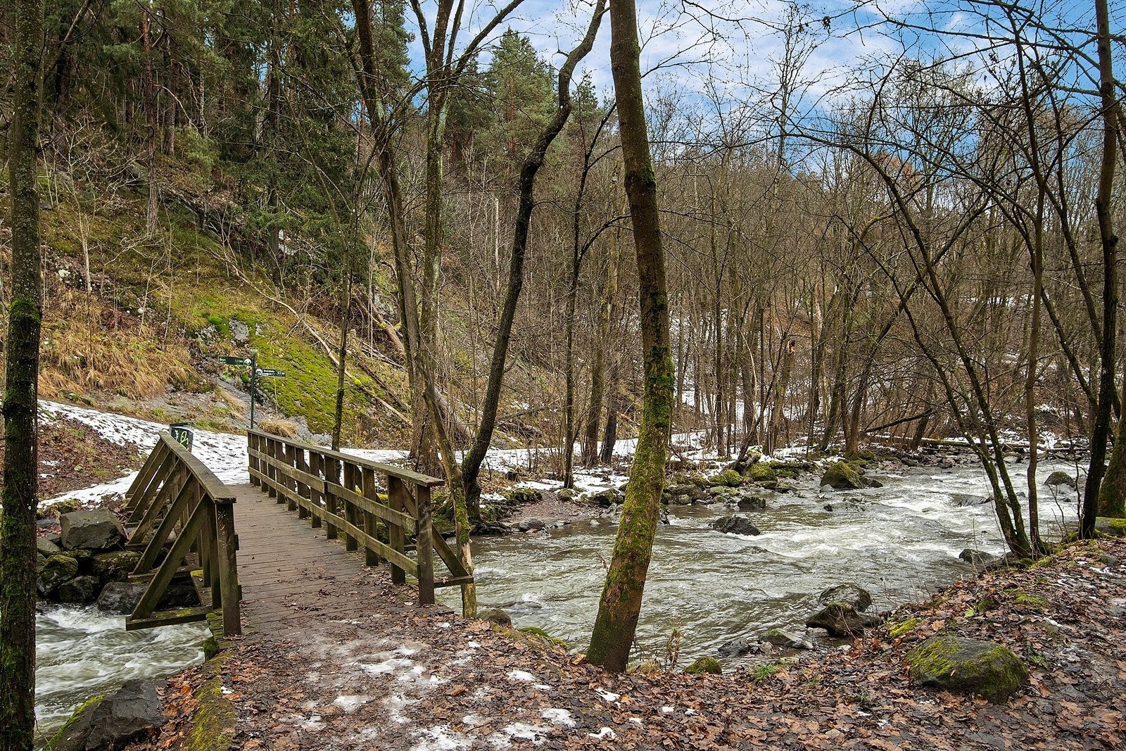 Flotte turområder like ved leiligheten (Svartdalsparken). Galleribilde