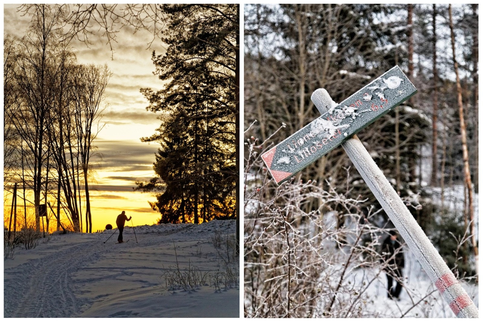 Fantastiske skiløyper/lysløyper starter her Galleribilde