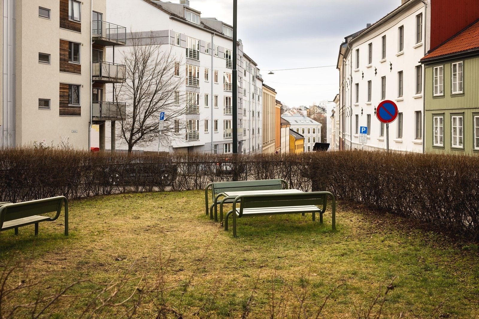 Pent opparbeidet felleshage. Galleribilde