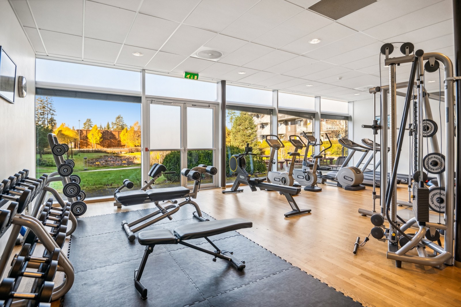 Treningsrom. Galleribilde