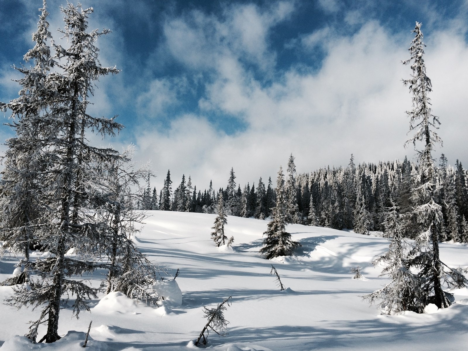 Idyllisk vintersteminig på Kvitfjell Vest (foto: privat) Galleribilde