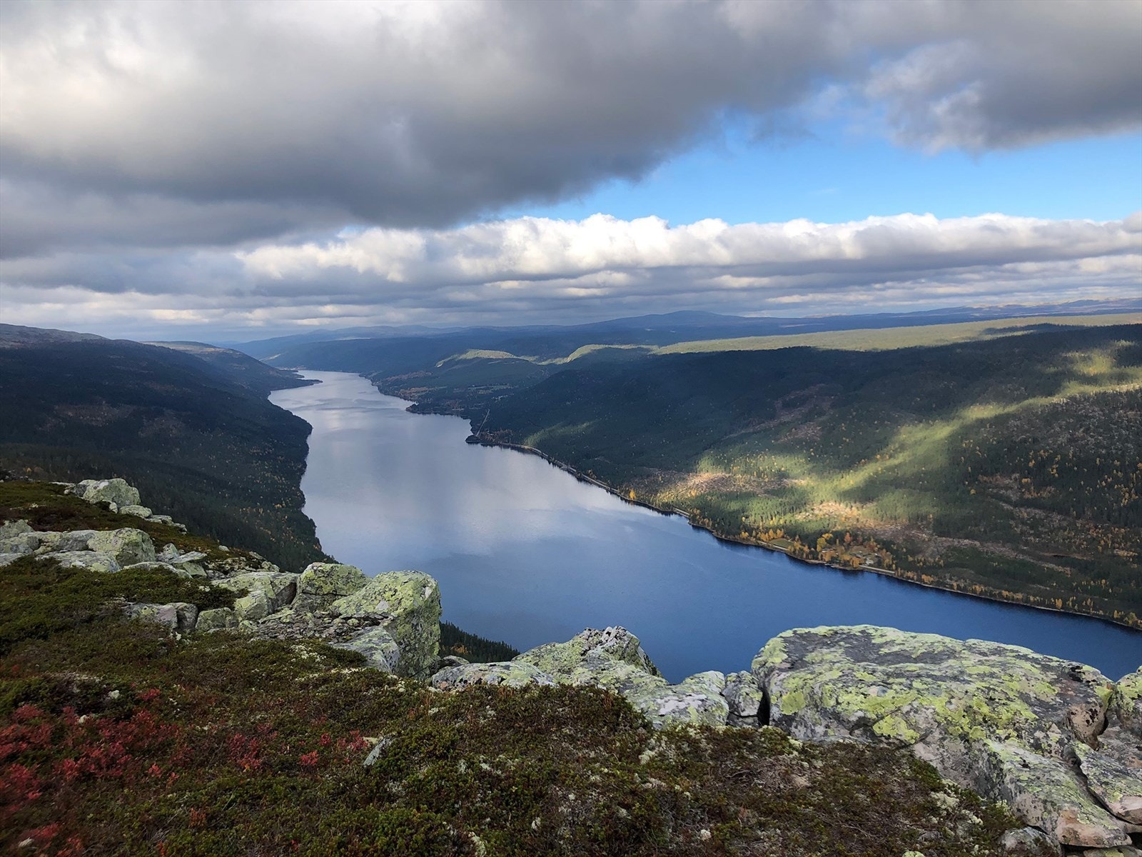 Flotte turmuligheter! Galleribilde