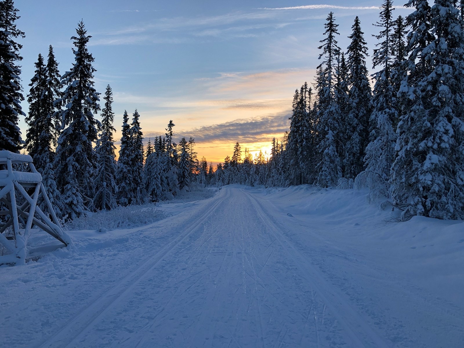 Flotte skispor på Furutangen. Det er også lysløype på Furutangen. Galleribilde