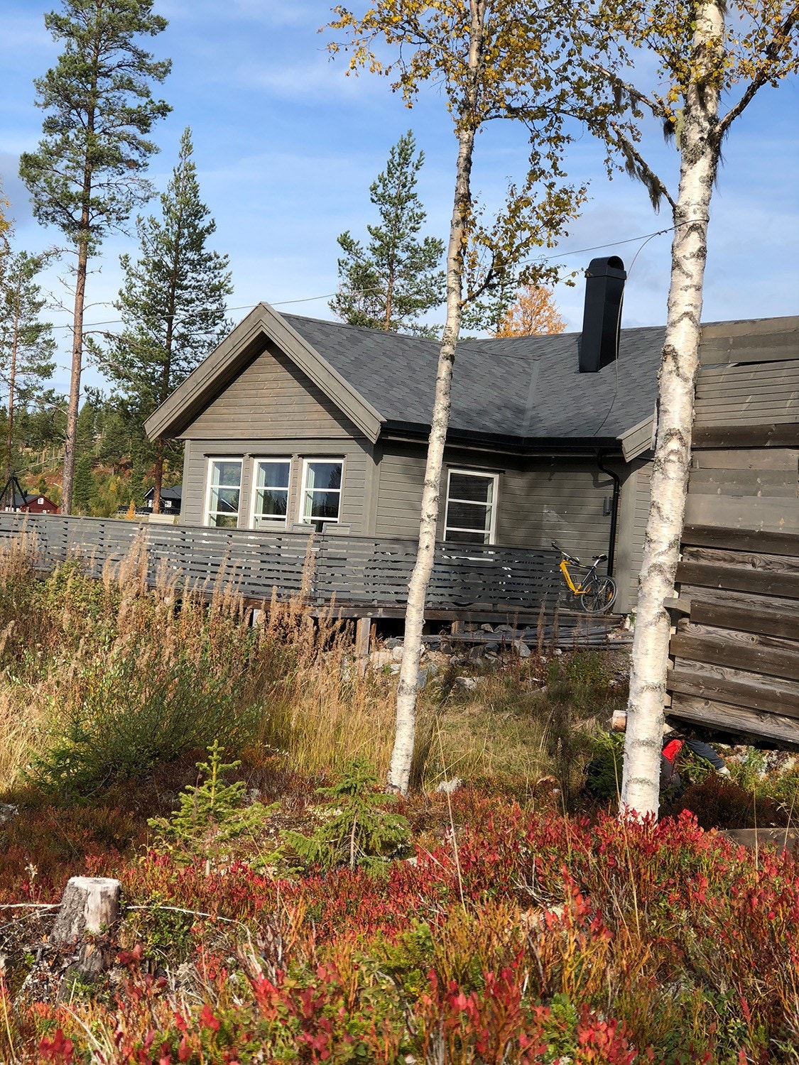 Fin naturtomt rundt hytta. Galleribilde