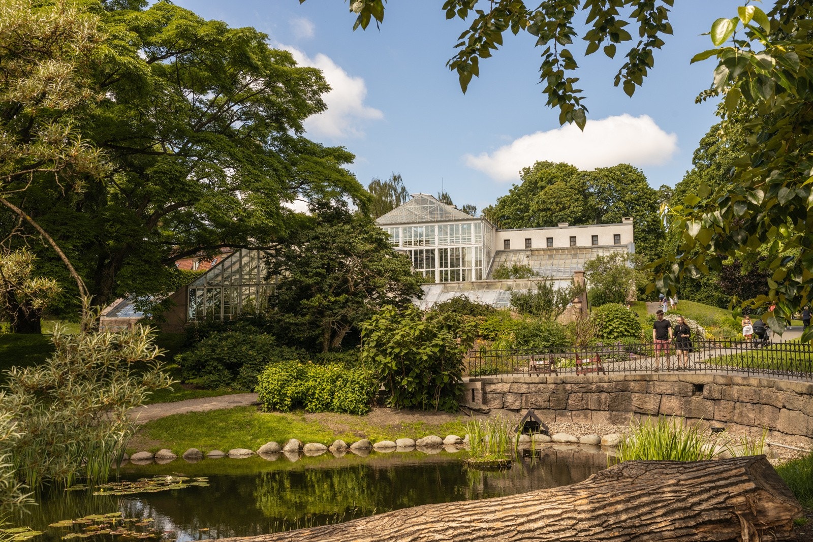 Botanisk Hage Galleribilde