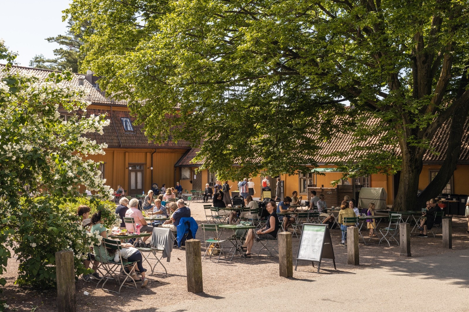 Botanisk Hage ligger i gangavstand fra boligen Galleribilde